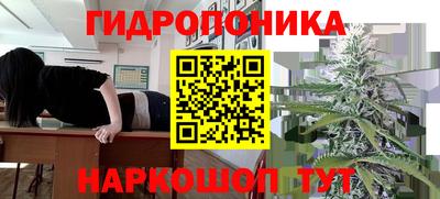 гашишное масло Кохма