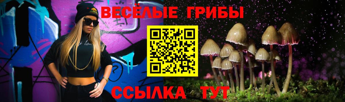 Псилоцибиновые грибы GOLDEN TEACHER Нефтекамск